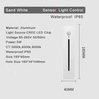 Wenlira Wall Light