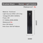 Wenlira Wall Light