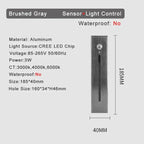 Wenlira Wall Light