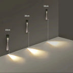 Wenlira Wall Light