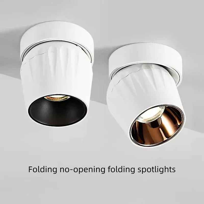 Zorveda Spotlight