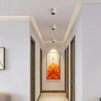 Zorveda Spotlight